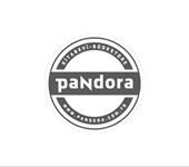 Pandora Kitap